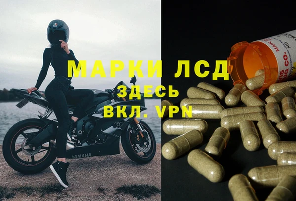 дживик Алзамай