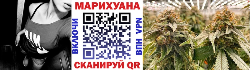 купить наркотики сайты  Суровикино  Конопля VHQ 